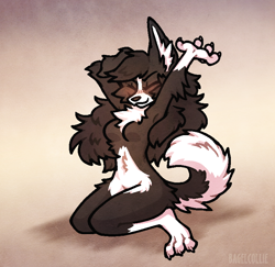 Size: 760x740 | Tagged: safe, artist:bagelcollie, canine, dog, mammal, anthro, 2024, arm above head, arm behind head, belly fluff, blushing, breasts, chest fluff, cute, featureless breasts, female, fluff, solo, solo female, stretching, tail, wide hips