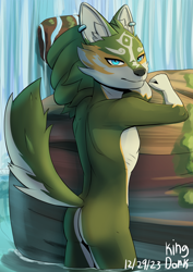 Size: 1614x2283 | Tagged: suggestive, artist:psychonundrum, link (wolf form), link (zelda), canine, mammal, wolf, anthro, nintendo, the legend of zelda, the legend of zelda: twilight princess, 2023, bedroom eyes, black nose, butt, detailed background, digital art, ears, fur, hair, lake, looking at you, looking back, looking back at you, male, nudity, partially submerged, pecs, pose, rear view, solo, solo male, tail, thighs, water