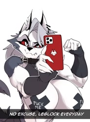 Size: 1120x1520 | Tagged: safe, artist:gmerch_, loona (vivzmind), canine, fictional species, hellhound, mammal, anthro, hazbin hotel, helluva boss, 2024, breasts, collar, female, flexing, huge breasts, muscles, muscular female, nipple tape, selfie, solo, solo female, tail