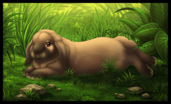 Size: 750x460 | Tagged: safe, artist:dolphiana, lagomorph, mammal, rabbit, feral, lifelike feral, 2d, ambiguous gender, brown body, brown eyes, brown fur, butt fluff, complete nudity, fluff, fur, head fluff, looking at you, lying down, neck fluff, non-sapient, nudity, plant, prone, realistic, rock, signature, sitting, solo, solo ambiguous, tail, tail fluff, watermark, whiskers