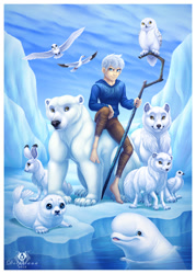 Size: 715x1000 | Tagged: safe, artist:dolphiana, jack frost (rise of the guardians), arctic fox, arctic wolf, bear, beluga whale, bird, canine, cetacean, fox, goose, human, lagomorph, mammal, owl, polar bear, rabbit, seal, snow goose, snowy owl, waterfowl, wolf, feral, lifelike feral, dreamworks animation, rise of the guardians, 2d, ambiguous gender, flying, group, ice, male, non-sapient, realistic, signature, stick, water