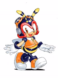 Size: 1536x2048 | Tagged: safe, artist:tokiwa757, charmy bee (sonic), arthropod, bee, insect, anthro, sega, sonic the hedgehog (series), 2024, antennae, clothes, footwear, full body, gloves, goggles, goggles on head, headwear, helmet, looking at you, male, orange eyes, shoes, simple background, smiling, smiling at you, solo, solo male, white background