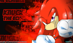 Size: 1024x612 | Tagged: safe, artist:andreahedgehog, knuckles the echidna (sonic), echidna, mammal, monotreme, anthro, sega, sonic the hedgehog (series), 2013, character name, clothes, gloves, looking at you, male, purple eyes, solo, solo male, text