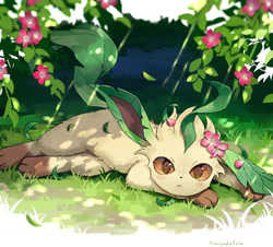 Size: 1700x1538 | Tagged: safe, artist:kaminokefusa, eeveelution, fictional species, leafeon, mammal, feral, nintendo, pokémon, 2024, :<, ambiguous gender, behaving like a cat, black nose, blush lines, blushing, brown eyes, cream body, cream fur, digital art, flower, flower in hair, flower petals, frowning, fur, grass, hair, hair accessory, looking at you, lying down, plant, signature, socks (leg marking), solo, solo ambiguous
