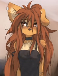 Size: 1694x2215 | Tagged: safe, artist:tinygaypirate, oc, oc:apogee (tinygaypirate), canine, dog, mammal, anthro, 2024, brown eyes, brown hair, choker, clothes, ears, female, fur, hair, solo, solo female, tan body, tan fur, topwear