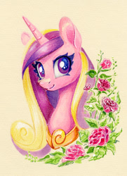 Size: 725x1000 | Tagged: safe, artist:maytee, princess cadence (mlp), alicorn, equine, fictional species, mammal, pony, feral, friendship is magic, hasbro, my little pony, 2024, bust, female, flower, g4, horn, jewelry, mare, necklace, plant, portrait, rose, smiling, solo, traditional art