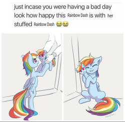 Size: 964x946 | Tagged: safe, artist:inowiseei, rainbow dash (mlp), equine, fictional species, human, mammal, pegasus, pony, feral, friendship is magic, hasbro, my little pony, 2018, :3, bipedal, clothes, cuddling, cute, dashabetes, emoji, eyes closed, female, floppy ears, g4, grin, hand, happy, hug, mare, meme, narcissism, nuzzling, open mouth, parody, plushie, ponified animal photo, ponified meme, present, self paradox, self plushidox, sitting, smiling, smirk, solo focus, toy