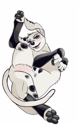 Size: 2061x3335 | Tagged: safe, artist:awildlionappeared, dolly (101 dalmatians), canine, dalmatian, dog, mammal, feral, 101 dalmatian street, 101 dalmatians, disney, 2d, black nose, black paw pads, blue eyes, clothes, featureless crotch, female, fluff, fur, head fluff, leg warmers, legwear, looking at you, paw pads, paws, pubic fluff, simple background, solo, solo female, spots, spotted body, spotted fur, spread legs, teeth, toeless legwear, white background