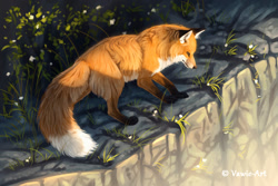 Size: 800x533 | Tagged: safe, artist:vawie-art, canine, fox, mammal, red fox, feral, 2018, 2d, ambiguous gender, back fluff, belly fluff, big tail, butt fluff, casual nudity, cheek fluff, chest fluff, cliff, complete nudity, countershading, detailed background, digital art, dipstick tail, ear fluff, fluff, fox ears, fox tail, fur, grass, head fluff, leaf, ledge, long tail, looking down, neck fluff, nudity, orange body, orange fur, outdoors, paws, plant, pointy ears, shoulder fluff, socks (leg marking), solo, solo ambiguous, tail, tail fluff, thighs, vulpes, whiskers, white body, white fur, white tail tip