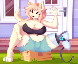 Size: 2115x1742 | Tagged: safe, artist:whitmaverick, oc, oc only, cat, feline, mammal, anthro, digitigrade anthro, 2024, belly button, big breasts, bottomwear, box, breasts, building, cleavage, clothes, commission, container, crop top, crossed eyes, detailed background, digital art, ears, eyelashes, female, fur, hair, house, open mouth, pink nose, prosthetic leg, prosthetics, shorts, sitting, solo, solo female, tail, thighs, tongue, topwear, wide hips