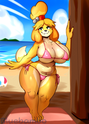 Size: 1451x2000 | Tagged: suggestive, artist:bluebambo, isabelle (animal crossing), canine, dog, mammal, anthro, animal crossing, nintendo, 2023, absolute cleavage, ball, beach, beach ball, bikini, black eyes, black nose, blonde hair, breasts, chest fluff, cleavage, clothes, cloud, detailed background, female, fluff, front view, fur, hair, hair accessory, huge breasts, looking at you, mountain, multicolored fur, multicolored tail, ocean, outdoors, pink bikini, pink swimsuit, sand, seaside, side-tie bikini, signature, sky, smiling, solo, solo female, standing, string bikini, swimsuit, tail, thighs, tied hair, toothy grin, water