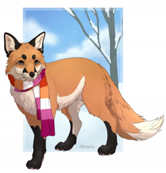 Size: 1920x2003 | Tagged: safe, artist:wiinterfox, canine, fox, mammal, red fox, feral, lifelike feral, abstract background, clothes, female, lesbian pride flag, non-sapient, plant, pride flag, realistic, scarf, signature, snow, solo, solo female, tree, vixen, whiskers