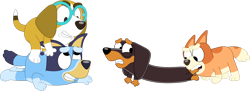 Size: 1484x539 | Tagged: safe, artist:porygon2z, bingo heeler (bluey), bluey heeler (bluey), honey (bluey), snickers (bluey), australian cattle dog, beagle, canine, dachshund, dog, mammal, semi-anthro, bluey (series), 2024, 2d, all fours, female, glasses, group, growling, male, on model, playful, puppy, round glasses, siblings, simple background, sister, sisters, transparent background, young