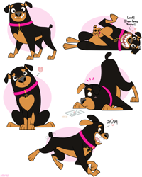 Size: 960x1200 | Tagged: safe, artist:higglytownhero, canine, dog, mammal, rottweiler, feral, 101 dalmatian street, 101 dalmatians, disney, 2d, collar, dialogue, english text, female, frowning, heartbreak, lying down, multeity, on back, open mouth, open smile, paw pads, paws, roxy (101 dalmatian street), running, sad, signature, sitting, smiling, solo, solo female, talking, text