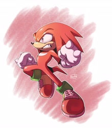 Size: 3592x4096 | Tagged: safe, artist:thenovika, knuckles the echidna (sonic), echidna, mammal, monotreme, sega, sonic the hedgehog (series), 2024, 2d, clothes, double outline, footwear, fur, gloves, looking to the side, male, purple eyes, red body, red fur, shoes, signature, solo, solo male, tail, teeth