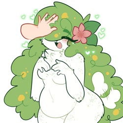 Size: 2000x2000 | Tagged: safe, artist:rykerclouds, fictional species, legendary pokémon, mammal, mythical pokémon, shaymin, anthro, nintendo, pokémon, 1:1, 2024, big belly, breasts, eyes closed, featureless breasts, female, female focus, flower, flower in hair, hair, hair accessory, head pats, high res, open mouth, plant, slightly chubby, solo focus, tail, tail wag, thick thighs, thighs, wide hips