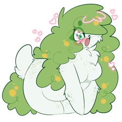 Size: 2000x2000 | Tagged: safe, artist:rykerclouds, fictional species, legendary pokémon, mammal, mythical pokémon, shaymin, anthro, nintendo, pokémon, 1:1, 2024, big belly, breasts, featureless breasts, female, flower, flower in hair, hair, hair accessory, hair over one eye, heart, heart eyes, high res, open mouth, plant, slightly chubby, solo, solo female, solo focus, thick thighs, thighs, wide hips, wingding eyes