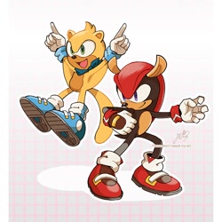 Size: 900x900 | Tagged: safe, artist:yomogino66, mighty the armadillo (sonic), ray the flying squirrel (sonic), armadillo, flying squirrel, mammal, rodent, squirrel, anthro, plantigrade anthro, sega, sonic the hedgehog (series), 1:1, duo, duo male, male, males only