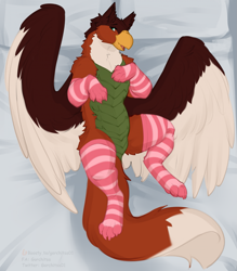 Size: 1795x2052 | Tagged: safe, artist:gorchitsa, bird, feline, fictional species, gryphon, mammal, feral, beak, blushing, clothes, feathers, legwear, lying down, male, reference sheet, scales, solo, solo male, spread wings, striped clothes, striped legwear, tail, wings