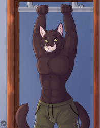 Size: 2200x2800 | Tagged: safe, artist:thatblackfox, cat, feline, mammal, abs, bottomwear, buff, chest, clothes, door, doorway, gains, grin, gym, male, muscles, partial nudity, pinup, pullup, shorts, smirk, topless, work out, working out