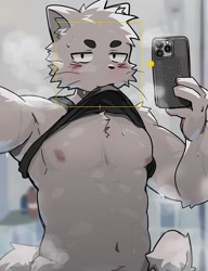 Size: 1170x1525 | Tagged: suggestive, artist:nowfloating, cat, feline, mammal, anthro, athletic, athletic male, clothes, male, mirror selfie, shirt, shirt lift, solo, solo male, topwear