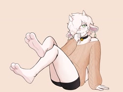 Size: 3200x2400 | Tagged: suggestive, artist:raccoonbutts, bovid, goat, mammal, bell collar, blushing, bottomwear, clothes, collar, femboy, fetish, foot fetish, foot focus, male, short shorts, shorts, soles, sweater, toes, topwear