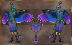Size: 2423x1520 | Tagged: safe, artist:runasolaris, bird, galliform, peafowl, anthro, beak, clothes, feathers, female, loincloth, male, reference sheet, tail, tail feathers, thick thighs, thighs, topwear, twins, wide hips, wings