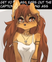 Size: 1470x1742 | Tagged: safe, artist:tinygaypirate, oc, oc:apogee (tinygaypirate), canine, dog, mammal, anthro, 2024, arm boob squeeze, big breasts, braless, breast squish, breasts, brown eyes, brown hair, cleavage, clothes, female, fur, hair, jewelry, looking at you, meme, necklace, orange body, orange fur, smiling, smiling at you, solo, solo female, tank top, text, topwear, vulgar
