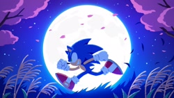 Size: 1920x1080 | Tagged: safe, artist:uno yuuji, official art, sonic the hedgehog (sonic), hedgehog, mammal, sega, sonic the hedgehog (series), 2022, blue body, blue fur, branch, clothes, footwear, full body, full moon, fur, gloves, grass, green eyes, leaf, looking to the side, male, moon, night, night sky, open mouth, open smile, outdoors, plant, running, shoes, sky, smiling, sneakers, solo, solo male, stars, tail, teeth, tree