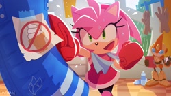 Size: 1440x810 | Tagged: safe, artist:uno yuuji, amy rose (sonic), emerl (sonic), fictional species, gizoid (sonic), hedgehog, mammal, robot, anthro, humanoid, sega, sonic battle, sonic the hedgehog (series), 2022, bottle, bottomwear, boxing, boxing gloves, checkered floor, clothes, container, dress, eyelashes, female, female focus, flying sweatdrops, food, fur, gloves, green eyes, ice cream, ice cream cone, open mouth, open smile, pink body, pink fur, punching bag, rain, smiling, solo focus, sweat, water bottle, window