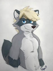 Size: 3071x4096 | Tagged: safe, artist:ruggsfur, oc, oc only, mammal, procyonid, raccoon, anthro, 2d, belly fluff, blonde hair, blue eyes, cheek fluff, chest fluff, ear fluff, fluff, front view, fur, gradient background, hair, lidded eyes, male, multicolored body, multicolored fur, neck fluff, signature, solo, solo male, tail, tail fluff, three-quarter view, white belly
