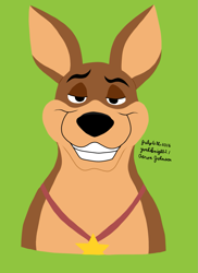 Size: 1275x1755 | Tagged: safe, artist:yoshiknight2, thunderbolt (101 dalmatians), canine, dog, german shepherd, mammal, feral, 101 dalmatians, disney, 2016, 2d, collar, front view, green background, grin, looking at you, male, signature, simple background, solo, solo male