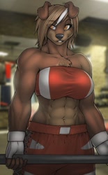 Size: 796x1280 | Tagged: safe, artist:strype, oc, oc only, canine, dog, mammal, anthro, 2014, abs, belly button, big breasts, bottomwear, boxing ring, breasts, clothes, commission, detailed background, digital art, ears, eyelashes, female, fur, hair, looking at you, muscles, muscular female, shorts, solo, solo female, sports bra, sports shorts, tail, thighs, topwear, wide hips