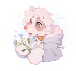 Size: 1280x1191 | Tagged: safe, artist:danomil, canine, dog, mammal, anthro, 2024, ambiguous gender, blushing, bust, clothes, collar, cute, flower, hoodie, open mouth, plant, topwear