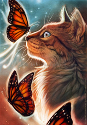 Size: 699x1000 | Tagged: safe, artist:lhuin, arthropod, butterfly, cat, feline, insect, mammal, monarch butterfly, feral, lifelike feral, 2013, ambiguous gender, blue eyes, chest fluff, cute, ear fluff, effects, fluff, fur, glowing, group, looking at each other, neck fluff, night, night sky, non-sapient, realism, realistic, scenery, scenery porn, size difference, sky, slit pupils, stars, whiskers