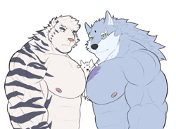 Size: 1451x1066 | Tagged: suggestive, artist:kem_mini, freddy (t.o.t.s.), mountain (arknights), big cat, canine, feline, mammal, tiger, wolf, anthro, arknights, disney, t.o.t.s., barazoku, duo focus, male, males only, muscles, muscular anthro, muscular male, trio, trio male