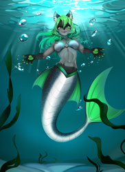Size: 1200x1647 | Tagged: safe, artist:nitricacid, oc, oc only, cat, feline, fictional species, fish, mammal, mermaid, humanoid, semi-anthro, 2024, belly button, black nose, bra, breasts, commission, digital art, ears, eyelashes, female, fur, hair, looking at you, mermaid tail, seashell, seashell bra, solo, solo female, tail, thighs, underwater, water, wide hips, ych result