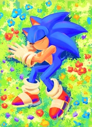Size: 2918x4000 | Tagged: safe, artist:yangfaa_sonic, sonic the hedgehog (sonic), hedgehog, mammal, sega, sonic the hedgehog (series), 2023, blue body, blue fur, clothes, eyes closed, flower, footwear, full body, fur, gloves, grass, lying down, male, on grass, on ground, plant, shoes, sleeping, smiling, solo, solo male, tail
