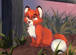 Size: 1280x923 | Tagged: safe, artist:horitoy, tod (the fox and the hound), canine, fox, mammal, red fox, feral, disney, the fox and the hound, fence, grass, male, plant, sitting, solo, young, younger
