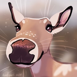 Size: 1280x1280 | Tagged: safe, artist:_heartspark, cervid, deer, mammal, feral, 1:1, 2024, ambiguous gender, brown body, brown fur, ears, fur, snout, solo, whiskers