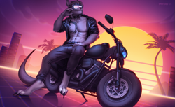Size: 1393x850 | Tagged: safe, artist:spefides, oc, kangaroo, mammal, marsupial, anthro, 2024, bottomwear, clothes, collar, digital art, ears, fur, glasses, gray body, gray fur, hair, jacket, male, motorcycle, palm tree, pants, paws, plant, solo, solo male, spiked collar, sunglasses, synthwave sun, tail, topwear, tree, vaporwave, vehicle
