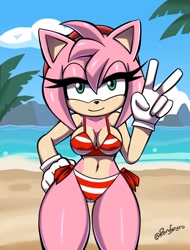 Size: 842x1106 | Tagged: suggestive, artist:renaspyro, amy rose (sonic), hedgehog, mammal, anthro, sega, sonic the hedgehog (series), 2024, beach, bedroom eyes, belly button, bikini, black nose, cameltoe, clothes, commission, detailed background, digital art, ears, eyelashes, female, fur, gloves, hair, looking at you, solo, solo female, swimsuit, tail, thighs, wide hips