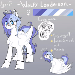 Size: 1600x1600 | Tagged: safe, artist:wolfythewolf555, oc, oc only, oc:wolfy londerson, equine, fictional species, mammal, pegasus, pony, female, reference sheet