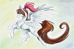 Size: 1600x1066 | Tagged: safe, artist:sunny way, equine, fictional species, horse, mammal, pegasus, pony, feral, friendship is magic, hasbro, my little pony, 2024, artwork, brown hair, brown mane, brown tail, cartoon, digital art, feathered wings, feathers, female, fluff, flying, fur, hair, ipad, mane, mare, realistic paint studio, signature, solo, spread wings, tail, traditional art, watercolor painting, white wings, wings
