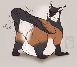 Size: 1400x1214 | Tagged: safe, artist:thebombird, oc, oc:gabrielle (thebombird), bird, feline, fictional species, goose, gryphon, lynx, mammal, waterfowl, feral, beak, fat, feathers, female, huge belly, obese, solo, solo female, tail, tail feathers, wings