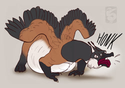 Size: 1400x986 | Tagged: safe, artist:thebombird, oc, oc:gabrielle (thebombird), bird, feline, fictional species, goose, gryphon, lynx, mammal, waterfowl, feral, angry, beak, fat, feathers, female, huge belly, solo, solo female, tail, tail feathers, wings