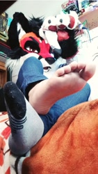 Size: 720x1280 | Tagged: suggestive, artist:kinnkyfox, canine, fox, mammal, clothes, feet, fetish, foot fetish, foot focus, foot pov, fursuit, human feet, in bed, irl, jeans, male, pants, photo, socks, sole, teasing, toes