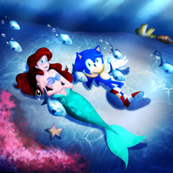 Size: 2048x2048 | Tagged: safe, artist:alexmontyart, ariel (the little mermaid), sonic the hedgehog (sonic), fictional species, fish, hedgehog, mammal, mermaid, starfish, anthro, feral, humanoid, lifelike feral, plantigrade anthro, disney, sega, sonic the hedgehog (series), the little mermaid (disney), 1:1, bra, clothes, crossover, duo, duo male and female, female, fins, footwear, gloves, green eyes, hair, high res, long hair, male, non-sapient, realistic, red hair, seashell, seashell bra, shoes, tail, underwater, water