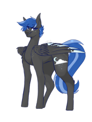 Size: 1536x2048 | Tagged: safe, artist:pixelberrry, oc, oc only, equine, fictional species, mammal, pegasus, pony, feral, friendship is magic, hasbro, my little pony, 2017, black body, black fur, blue hair, blue mane, blue tail, feathered wings, feathers, folded wings, fur, hair, male, mane, simple background, smiling, solo, solo male, stallion, tail, transparent background, wings