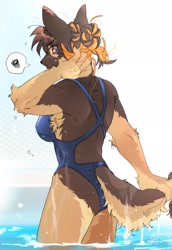 Size: 1411x2048 | Tagged: safe, artist:ng_hus, canine, dog, mammal, anthro, 2024, breasts, clothes, female, looking at you, looking back, looking back at you, one-piece swimsuit, partially submerged, solo, solo female, swimsuit, tail, water, wet, wide hips